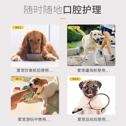 狗狗漱口水 寵物口腔健康的新選擇