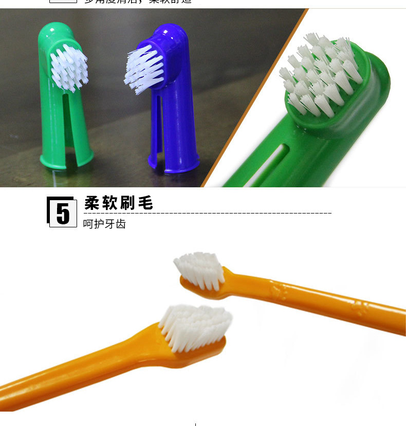 狗狗口腔健康四件套 全方位守護(hù)愛犬牙齒，從科學(xué)護(hù)理開始