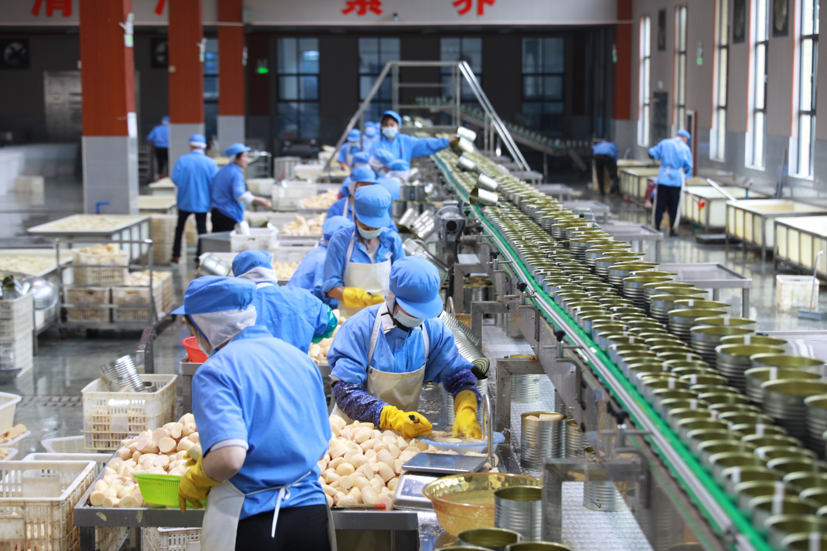 人行樂安縣支行 金融活水精準滴灌，助力竹筍產業融合升級