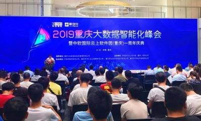 大數據賦能，軟件定義未來 重慶軟件開發企業在智能化浪潮下的機遇與路徑